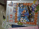 大中华寻宝系列18·辽宁寻宝记新版儿童中国地理科普知识百科漫画书，儿童科普，人文地理，漫画读物 暑假作业 一升二暑假衔接 小升初暑假衔接 实拍图