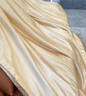 出口6A级100%桑蚕丝被黄金丝真丝提花被芯春秋被夏凉被冬被子定制 【6A级黄金桑蚕丝-可定制规格】 150*200cm【六斤-冬季款】 实拍图