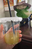 洁日邦一次性奶茶杯咖啡杯带盖网红冷饮杯透明家用商用塑料杯350ML*20套 实拍图
