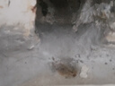立邦 水不漏堵漏涂料 快干水泥堵漏灵 卫生间堵漏宝 速凝型胶泥 2kg 实拍图