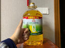 金龙鱼 食用油 零反式脂肪压榨玉米胚芽油4L 实拍图