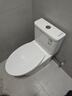 九牧（JOMOO）11316-2-1/31K-1小户型马桶易洁家用节水虹吸抽水坐便器305坑距 实拍图