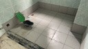 潜水艇（Submarine）黄铜防臭地漏套装卫生间干区淋浴大排量洗衣机长条隐形全铜主体 【真.黄铜】淋浴地漏-卫生间地漏 实拍图