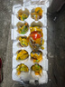 鄱湖鸭舍中秋节礼盒送礼咸鸭蛋流油真空独立包装盐蛋流油熟咸鸭蛋黄咸蛋黄 加大10枚*60-70g【厂家直发】 实拍图
