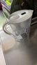 碧然德（BRITA） 家用滤水壶 净水壶滤芯 Maxtra 多效滤芯 1枚装 实拍图