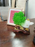 吉善缘 百财如意玉白菜摆件 家居客厅装饰品酒柜办公室店铺开业乔迁礼品 中号招财进宝 实拍图