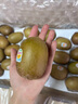 佳沛（zespri）新西兰  阳光金奇异果巨大果22粒原箱 单果重约144-175g 猕猴桃 实拍图