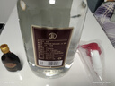 劲牌毛铺 劲牌劲头足窖酒5L玻璃瓶50度高度酒 家庭装 50度 5L 1瓶 劲牌劲头足窖酒 实拍图