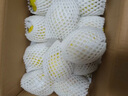 京鲜生 新疆库尔勒香梨 净重5斤 单果100g-120g 新鲜水果 源头直发 实拍图