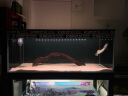 创宁鱼缸渔池循环变频潜水泵 水族箱安静抽水  水陆两用 鱼池假山过滤 升级款【超轻音25W】流量2200-3500L 实拍图