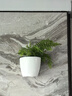 欧林泽 绿萝植物壁挂花盆 自动吸水墙壁挂式 免浇水 仿陶瓷家居创意挂件 阳台厨房挂式个性懒人盆 中号/直径13X高14厘米 实拍图