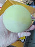 头茬早甜脆小蜜蜂蜜罐甜瓜现摘星甜20应季新鲜水果香瓜白糖罐 高复购【5斤装】品质升级 实拍图