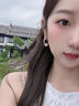 LnieerS925银碎银珍珠耳环女款流苏耳坠2025新款小众设计感气质百搭耳饰 碎银子珍珠耳环【S925银】 实拍图