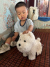 babycare&bctoys儿童毛绒玩具狗电子哈基米宠物玩偶西高地犬节日520礼物 实拍图