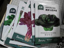 北蔬 大叶茼蒿种子虎耳茼蒿皇帝菜蔬菜种籽 大叶茼蒿种子15g约6700粒 实拍图