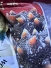 辽参大连有机冷冻海参2斤26-30只非即食京东自营礼盒装独立包装正品 实拍图