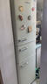 德姆勒（DEMULLER）212升法式复古冰箱三开门大容量家用租房厨房电冰箱 网红奶油白高颜值冰箱冷藏冷冻节能静音 212升【芝士白】三门三温 实拍图