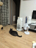 霍尼韦尔（Honeywell）【papi酱同款】宠物猫用空气净化器吸猫毛除甲醛过敏源杀菌消毒霍哈宝H-Cat Hub家电国家补贴 实拍图