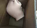 谜姬飞机杯妚仿真人1:1大肥臀臀部倒模自慰器成人玩具阴臀免充气全实体硅胶半身娃娃男人专用倒膜发泄性用品 实拍图