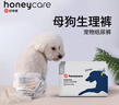 HONEYCARE好命家 狗狗纸尿裤大型母狗生理裤月经裤S适用体重2-5kg12片装 实拍图