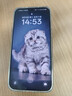 OPPO Find X8 16GB+512GB 浮光白 无影抓拍 超轻薄直屏 天玑9400 AI一键问屏 5630mAh 国家补贴 5G手机 实拍图
