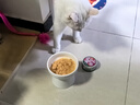 网易严选猫湿粮宠物零食浓汤大口肉罐头 鸡肉+三文鱼85g*6罐 实拍图