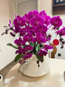 鲜花情大花蝴蝶兰盆栽带花盆【专人送花到家】乔迁送爸妈长辈同事盆栽 6株紫色蝴蝶兰-底盆随机可选 今日达-同城配送到家-可预定 实拍图