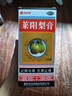 特一 止咳宝片0.35g*12片*4板/盒*1+司邦得 莱阳梨膏150克*1 实拍图