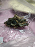 鱼网虾笼捕鱼笼自动折叠抓黄鳝笼捕虾网工具渔具捉龙虾网多口捕鱼 12孔（直径60cm双层洞口） 实拍图