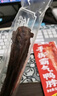 精武麻辣味手撕鸭脖53g*5 休闲小零食鸭肉卤味 氮气保鲜武汉特产 实拍图