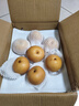 青青大地秋月梨山东莱阳正宗秋月冰糖梨产地直发 净重4斤新鲜水果 秋月梨净重4斤【爆汁爽口】 实拍图