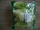 【高原夏菜】钟灵山罗马生菜400g 实拍图