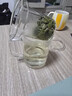 富光泡茶杯茶水分离玻璃杯办公室喝茶杯子男士个人花茶杯水杯公道杯 实拍图