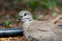 尼康尼克尔 Z 28-400mm f/4-8 VR【全国可用消费券】全画幅 高倍变焦 运动 动物 美食 便携微单镜头 实拍图