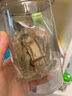 福东海 茯苓300克【深山老树1.2-1.4CM】云南优质茯苓丁黄芪当归煲汤料 实拍图