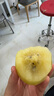 佳沛（zespri）新西兰阳光金奇异果 8个装 特大果单果重约122-146g 水果猕猴桃 实拍图