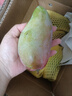 京鲜生新鲜玉芒 净重8.5斤 单果200g＋ 新鲜芒果 源头直发包邮 实拍图