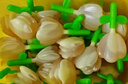 周十五益生菌蜂蜜露孕妇开塞蜜露待产包用产后哺乳期儿童蜂蜜栓*2盒 实拍图