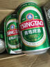 青岛啤酒（TsingTao）博物馆栈桥风光11度330ml*3经典黄啤酒 尝鲜装 实拍图
