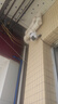 霸天安高清摄像头监控室外无线wifi家庭监控器家用手机远程360度无死角带夜视全景语音旋转可对话户外 实拍图