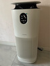 东芝（TOSHIBA）大白梨Pro空气净化器加湿器净化加湿一体机等离子消杀病毒除甲醛过敏源【国家补贴】 实拍图