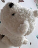 babycare&bctoys儿童毛绒玩具狗电子哈基米宠物玩偶节日生日礼物西高地犬 实拍图