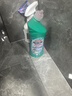 花王（KAO）免刷洗洁厕灵500ml*4瓶 99%除菌马桶清洁剂洁厕液厕所清洗洁厕剂 实拍图