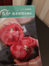 寿禾 番茄种子苗沙瓤西红柿盆栽蔬菜种籽 潍丰寿禾粉冠老番茄种子40粒 实拍图