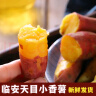 京鲜生临安天目山小香薯净重5斤 单果约70g-180g 香甜软糯皮薄 源头直发 实拍图