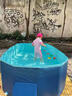 梦多福免充气游泳池家用儿童泳池成人大型折叠戏水池支架户外小孩游泳桶 1.6米天竺蓝【入门套餐】游泳圈限时送 家庭室内加厚海洋球池室外玩沙池 实拍图