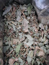 弘礼堂 金钱草500g 广金钱草茶 大叶金钱草茶 金钱石清茶原料可泡茶煮水 实拍图