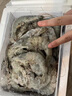 鲜京采 原装进口厄瓜多尔白虾 净重3.3斤 大号30-40规格 50-66只/盒 实拍图