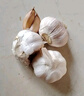 紫白皮蒜水果大蒜超市即食生鲜蔬菜大蒜 【尝鲜】3头 50g 单果3.5-5cm 实拍图