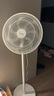 美的（Midea）【品质推荐】七叶轻音柔风电风扇/家用省电落地扇/台式电扇/广角摇头节能宿舍小型风扇 SAE35CA 实拍图